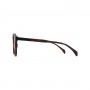 dion-villard-ladies-sunglasses-tortoise-color-acetate-material-round-shape-dvsgl1913d-9723773.jpeg