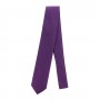 dion-villard-medium-tie-with-pocket-square-microfiber-light-purple-dvtm1911-3705366.jpeg