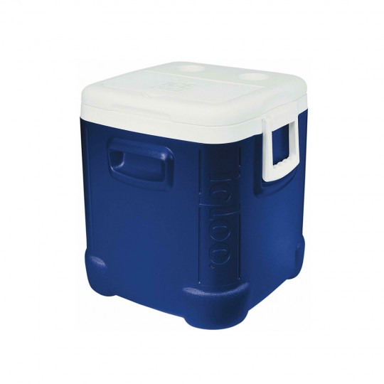 igloo-48qt-ice-cube-cool-box-2958102.jpeg