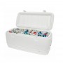 igloo-150qt-quick-ice-box-1646749.jpeg