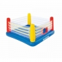 bway-bouncer-boxing-ring-5761889.jpeg