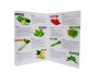 alpha-fruit-vegetable-abc-books-9361285.jpeg