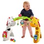 fisher-price-newborn-to-toddler-gym-5952701.jpeg