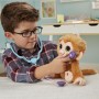 hasbro-furreal-check-up-zandi-5001330.jpeg