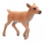 mojo-reindeer-calf-9930404.jpeg