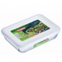 rectangular-dish-with-plastic-lid-08l-19-x-14-cm-3039422.jpeg